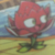 红针花