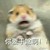 蛇精病