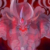 黑暗魔神