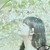 东方妈