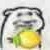 姨母