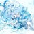 作者星青芮
