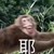 蠢作者