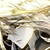 伊莱克斯
