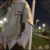 林睿