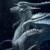 星空龙皇