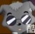 小灰灰