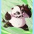 大飞