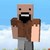 notch