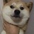 宠物店老板