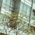 蓝逸辰