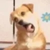 门铃