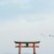 场景