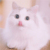 咪咪