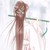 白莲花（反）
