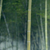 龙套