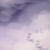 水镜