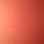 任宣粉絲（宣誓）