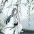叶清风