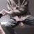 季北