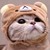 黄柯钟
