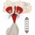 叽里咕噜