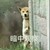 人群