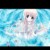 同学C