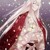 花轻浅