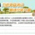 万能人物