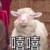 作者之蘇蘇蘇
