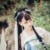 林希蕓