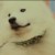 蛋蛋
