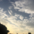 林母（父）