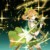 葉星瀾