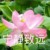 岁月静好