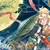 萬能龍?zhí)?/>
                                <p>萬能龍?zhí)?/p>
                            </a>
                        <a href=