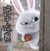 言言