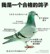 作者