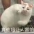 敌人3