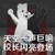 黑白熊