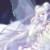 作者：荷花慕雪