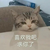 某龍?zhí)?/>
                                <p>某龍?zhí)?/p>
                            </a>
                        <a href=