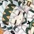 帕洛斯