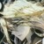 伊莱克斯