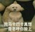 拆臺的娃