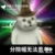 分院帽