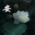 妈妈