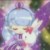 光明芬妮