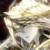 伊莱克斯